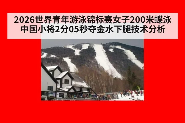 2026世界青年游泳锦标赛女子200米蝶泳中国小将2分05秒夺金水下腿技术分析 | nine game