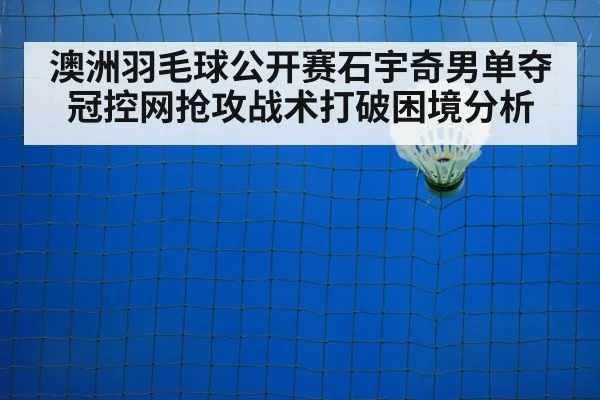 badminton net play