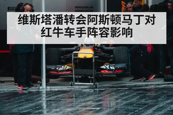 维斯塔潘转会阿斯顿马丁对红牛车手阵容影响 | nine game